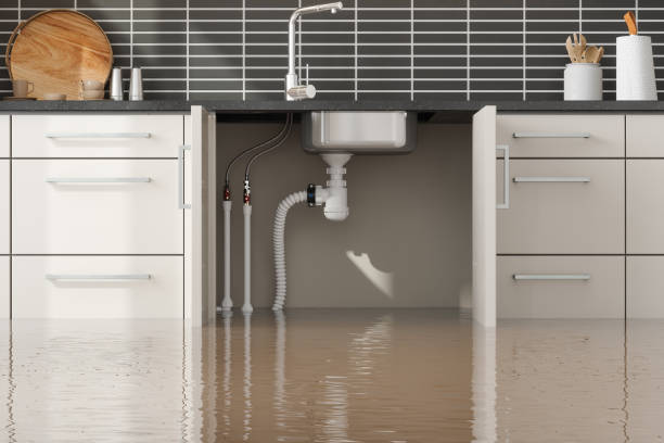 Best Water Damage Insurance Claim Assistance in USA